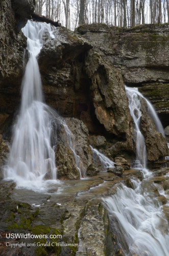 Waterfalls at The Pocket on Pigeon Mountain