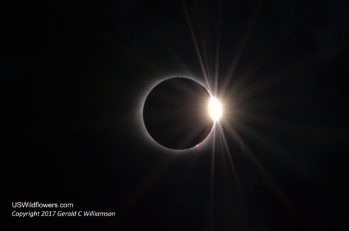 Diamond Ring - Eclipse 2017