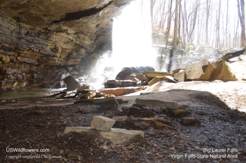 Big Laurel Falls Cave