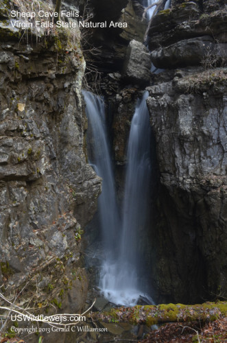 Lower Sheep Cave Falls