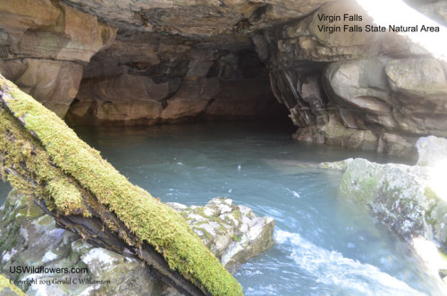 Virgin Falls Cave
