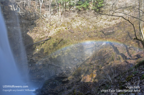 Rainbow at the base of Virgin Falls