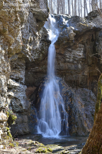 Pocket Creek Falls