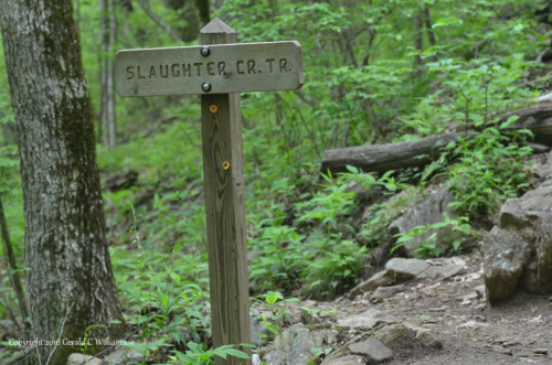 Slaughter Creek Trail